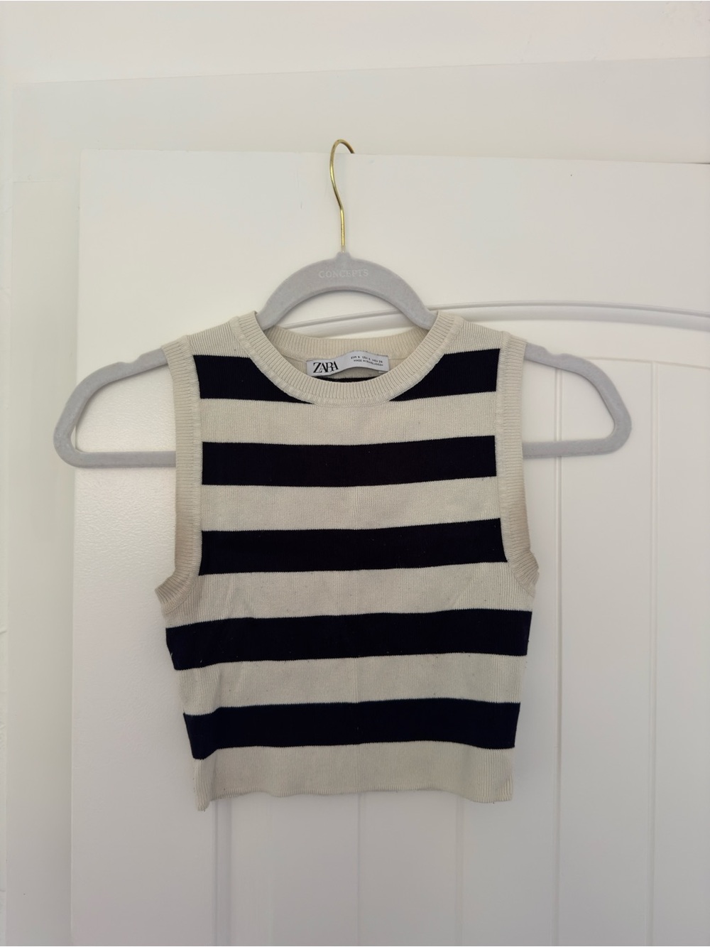 Zara Striped Knit Tank Top in Black and Cream